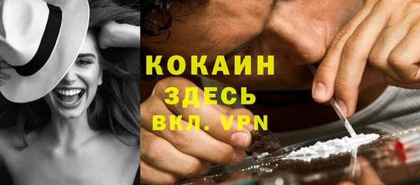 гашик Новокубанск