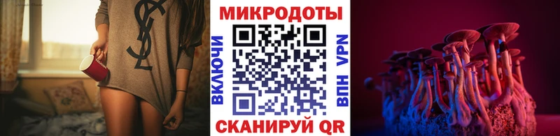 наркота Сретенск Псилоцибиновые грибы Psilocybine cubensis
